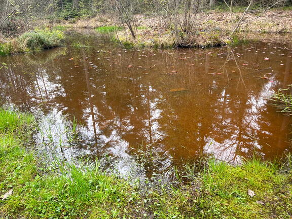 23-04-30 15-22-11 5252